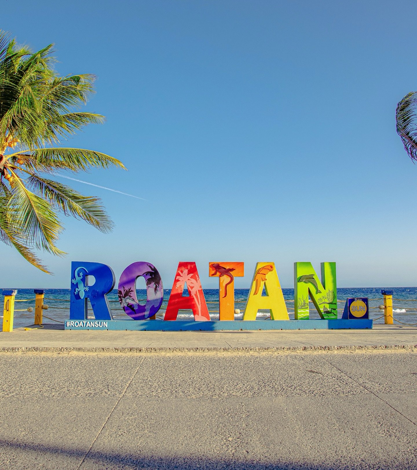 Sanctuary & Island Tour